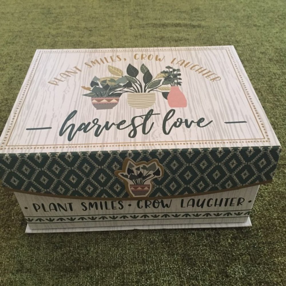 Decorative Box with Summer/Spring Theme (10"W x 5"H x 8"D) Keepsake Box New
